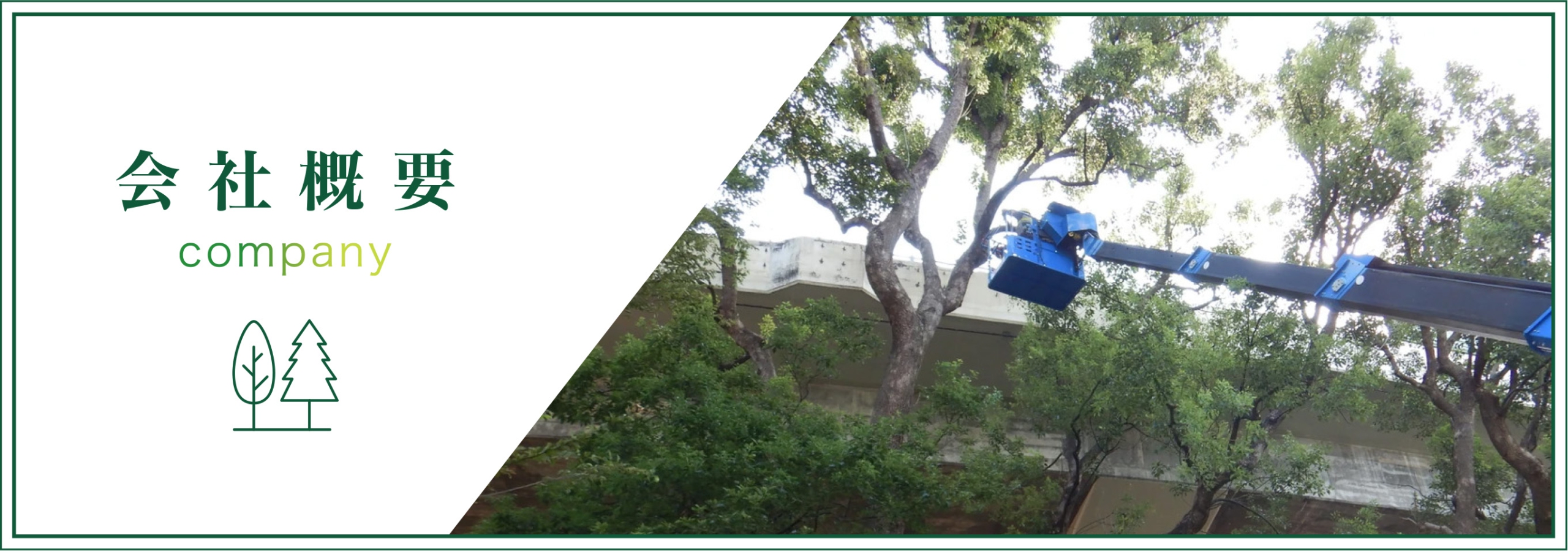 会社概要